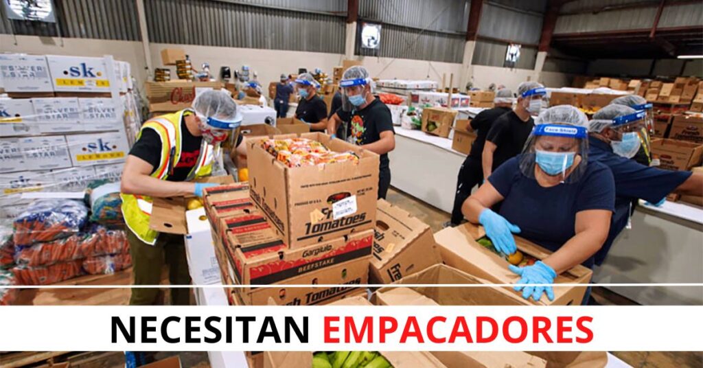 SE NECESITA 15 PERSONAS PARA EMPACAR DIVERSOS PRODUCTO | EMPLEOS 2026