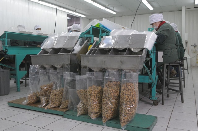 SE NECESITA 14 PERSONAS PARA EMPACAR DIVERSOS PRODUCTOS | EMPLEOS 2026